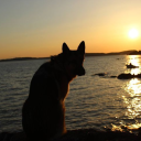 𝘎𝘳𝘢𝘷𝘦𝘭’𝘴 𝘥𝘦𝘯☕ Discord server icon