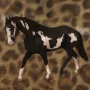 𝐋𝐞𝐨𝐩𝐚𝐫𝐝 𝐒𝐞𝐫𝐯𝐢𝐜𝐞𝐬