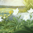 ⁺‧₊˚ The magical meadow˚₊‧⁺