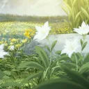 ⁺‧₊˚ The magical meadow˚₊‧⁺