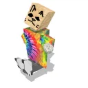 the rubbish can