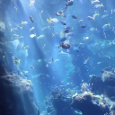 Oceanipha °𓈒𓏸 🌊