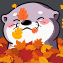 ✨Otter Nonsense✨