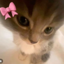 𝚁𝚘𝚋𝚕𝚘𝚡 𝙶𝚘𝚘𝚋𝚜 Discord server icon