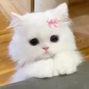 ZONE OUT discord icon