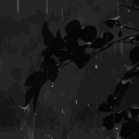 /Sunkys V1 雨