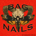 Bag of Nails Discord server icon