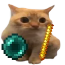 PaceSpoingus