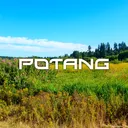epic potnga server;