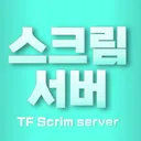 Mir TF Scrim 서버