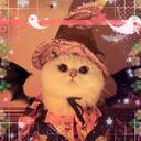 `.「Cathrina cat cafe」—    Discord Server Icon