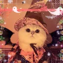 `.☆「Cathrina cat cafe」— ☕