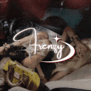 /Frenzy﹒social ⁓ stox ⁓ vcs ⁓ gws