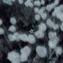 💫*•˙˚˙⌑꒷꒦𝕻𝖔𝖙𝖆𝖙𝖔'𝖘│𝕭𝖆𝖘𝖊𝖒𝖊𝖓𝖙꒦꒷⌑˙˚˙•*ᯓ