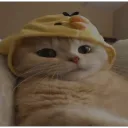 server icon
