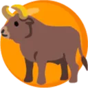 🐂🟠 ORANGE BULLS 🟠🐂