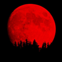 Bloodmoon || BD  7-0