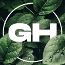 🍃 • GuildsHub | 3.2k avatar