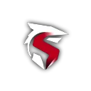 TEAM SURGE