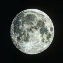 🌕Moon Store