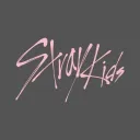 D9 | Stray Kids Guild Tag