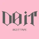 Do It | Stray Kids Guild Tag