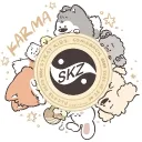 D9 | Stray Kids Guild Tag