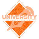 University of Arcane Odyssey