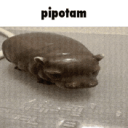 Discovery icon for 𝓟𝓲𝓹𝓸𝓽𝓪𝓶 𝓐𝓷𝓪𝓻𝓬𝓱𝔂  🌈🇫🇷 Discord server