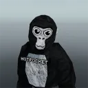 HOTPOCKETS hangout server