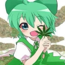D.G.Angel