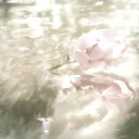 ⟪⧼ lambcot ⧽⟫