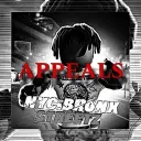 BS: Appeals & Moderation