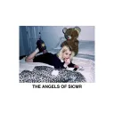 THE ANGELS OF SICMR