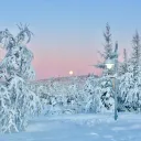 ･:*:｡⋆⁺₊❅ 𐙚 snowy storm competitions