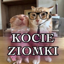 Discovery icon for KOCIE ziomki {≽^•⩊•^≼} Discord server