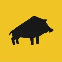 DZIKUSY BROŁKA