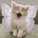 🍓 ᴏɴᴏᴍᴀᴛᴏᴘᴇᴊᴀ 🍓