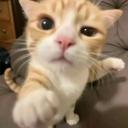 𝕲𝖍𝖔𝖘𝖙𝖌𝖚𝖗𝖑's Autism Place