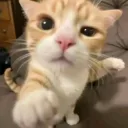 𝕲𝖍𝖔𝖘𝖙𝖌𝖚𝖗𝖑's Autism Pl... Discord Server Icon