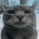 𝙐𝙠𝙞𝙮𝙤 ᴺˢᶠʷ discord icon