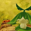 けんこうてきな鯖💩☺