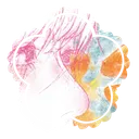 🌸   Honey  Glow   ˳   ⟡