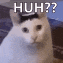 HUH