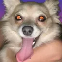 sammie's club's icon