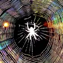 ᯓ ₊⁺ eoin’s web ⁺₊ .ᐟ