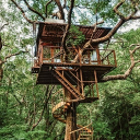 The treehouse Discord server icon