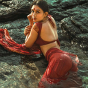 Desi Delights Discord server icon