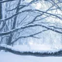 ๐ด๐๐๐
๐ ๐ฎ๐๐๐๐
๐ | ๐ฎ๐๐๐๐ & ๐บ๐๐๐๐๐ โ #๐๐๐ Discord server icon