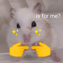 or2072's niche interests for cool people only Discord server icon